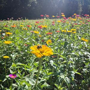 Meet your Posher, Teagan